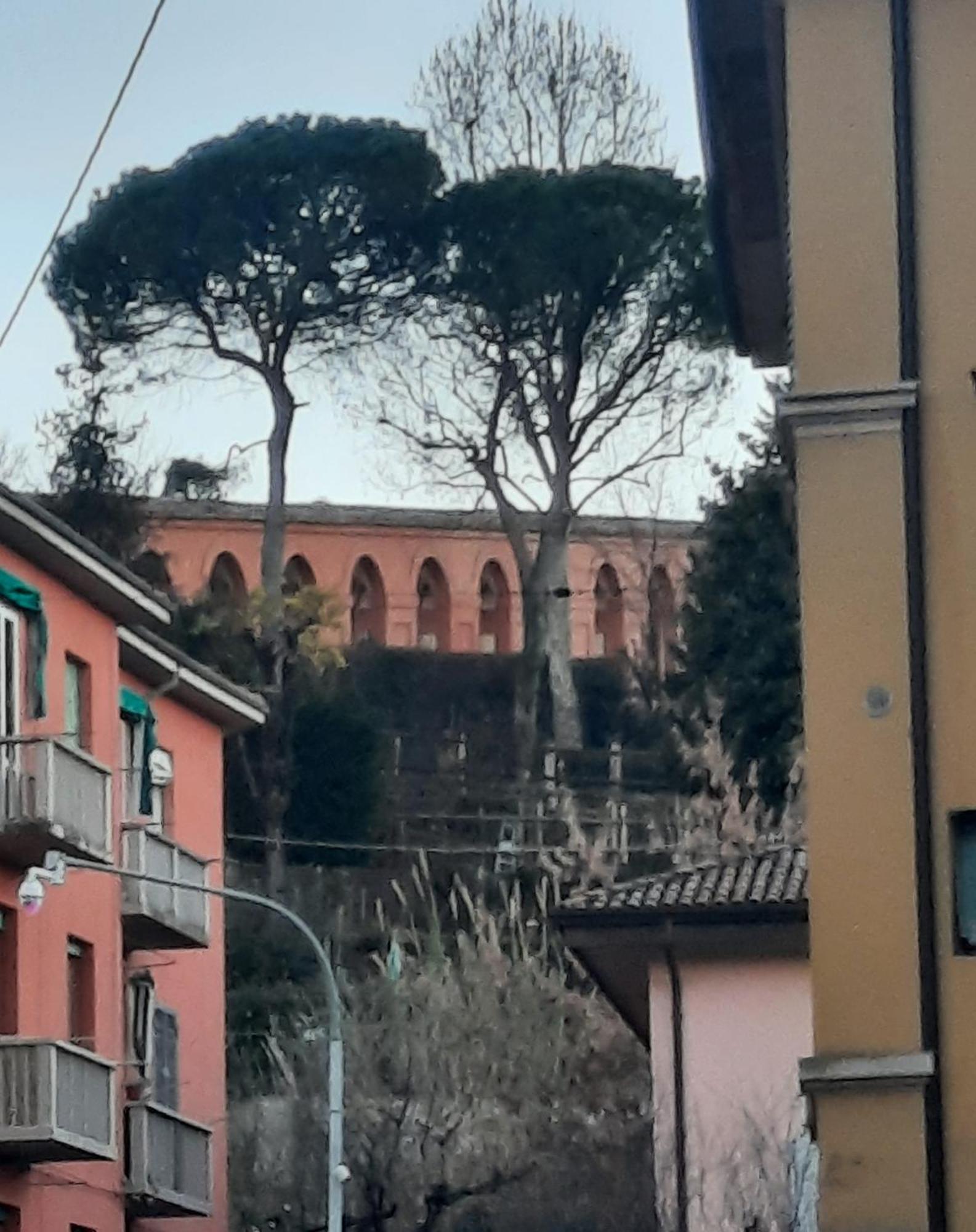 Dimora La Turrita Apartment Bologna Bagian luar foto